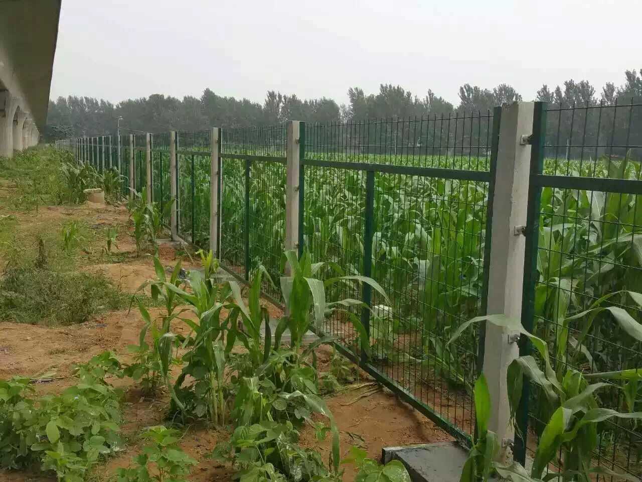 鐵路防護(hù)柵欄圖片4